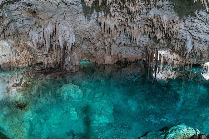 Private 2-Cenote Snorkeling Tour with Authentic Mayan Lunch - Key Points
