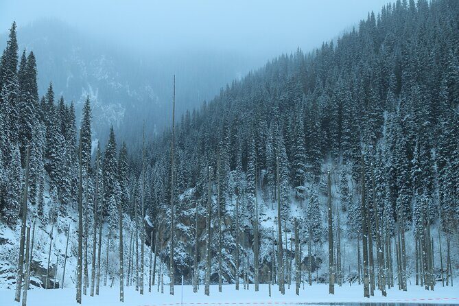 Private 2 Day Kaindy Kolsai Lake Charyn Canyon Private SUV Tour - Key Points