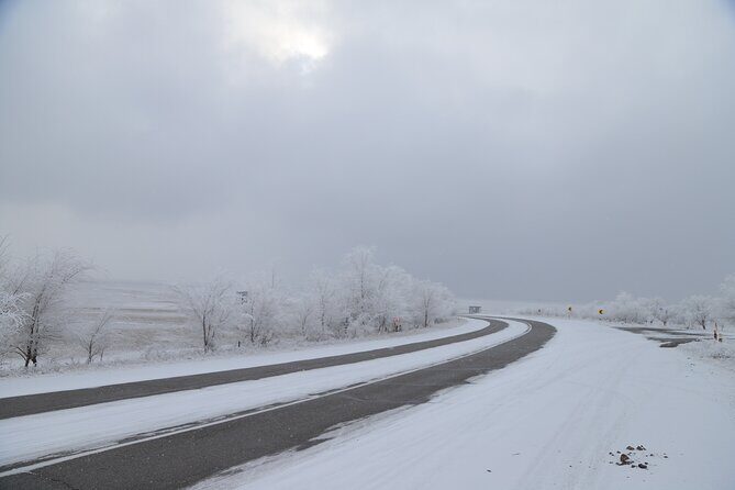 Private 2 Day Kaindy Kolsai Lake Charyn Canyon Private SUV Tour - An Inside Look at the 2-Day Tour Experience