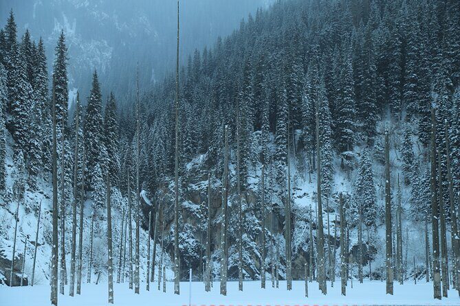 Private 2 Day Kaindy Kolsai Lake Charyn Canyon Private SUV Tour - The Experience Provider: Nomadtravel.kz