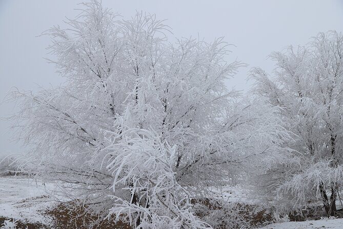 Private 2 Day Kaindy Kolsai Lake Charyn Canyon Private SUV Tour - Who Should Consider This Tour?