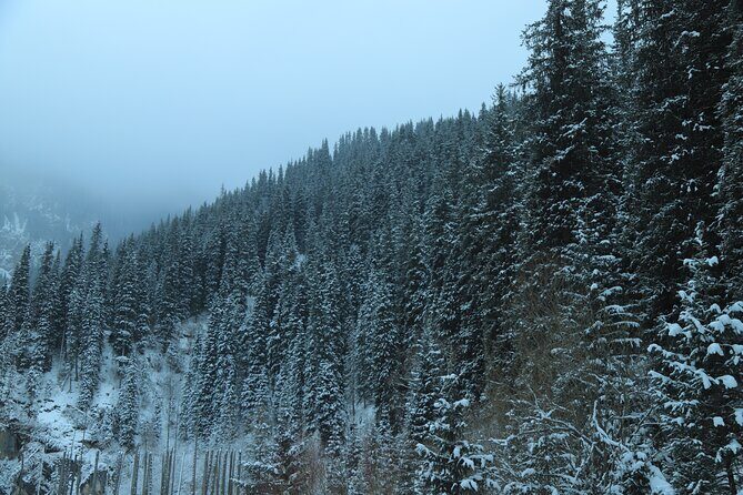 Private 2 Day Kaindy Kolsai Lake Charyn Canyon Private SUV Tour - FAQ