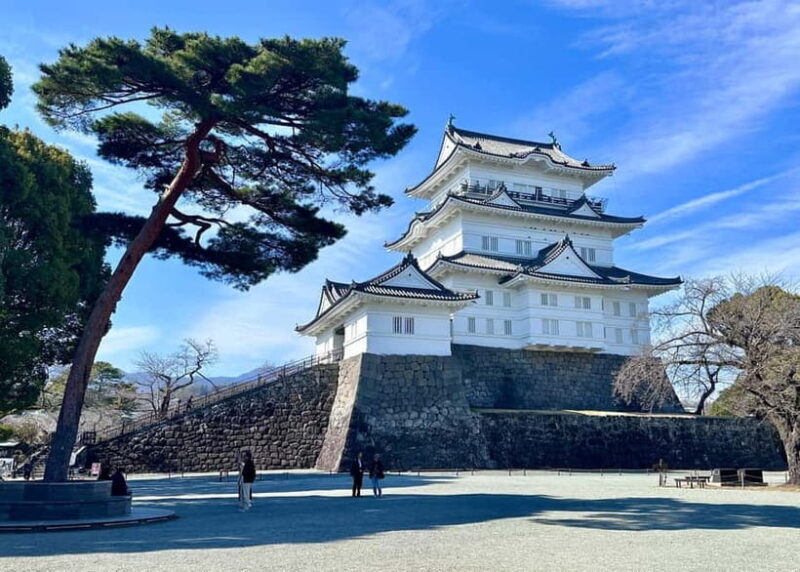 Private 2-Day Tour: Mt Fuji Hakone & Kamakura + Onsen Ryokan - Considerations to Keep in Mind