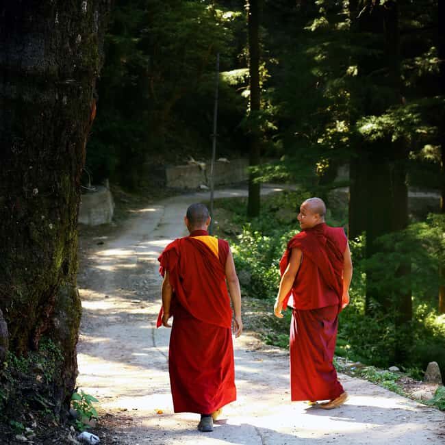 Private 2-Days McLeodGanj & Dharamshala Guided Tour - Discover the Spirit of Tibetan Buddhism and Himachal Charm in 2 Days