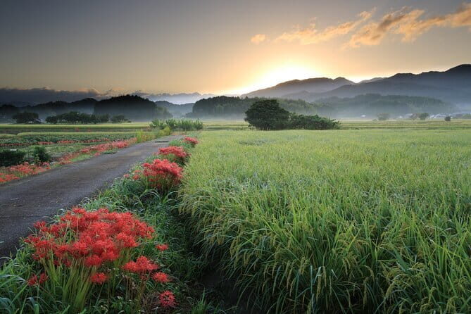 Private 2 Days Tour in Asuka Village Hidden Gems of Nara - Key Points
