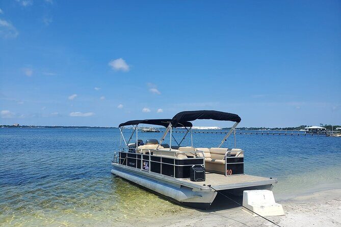 Private 2-Hour Dolphin and Sightseeing Tour - A Thorough Look at the Route and Expectations