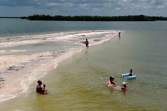 Private 2 Hour Dolphin & Eco Tour Marco Island, FL - Who Should Consider This Tour?