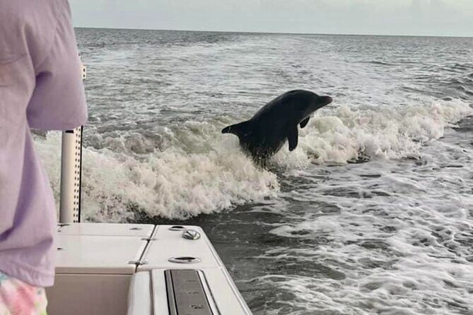 Private 2 Hour Dolphin & Eco Tour Marco Island, FL - Frequently Asked Questions