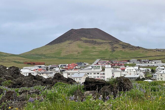 PRIVATE 2-Hours Tour - Westman Islands with a local in a BMW X5 - Price and Value Analysis