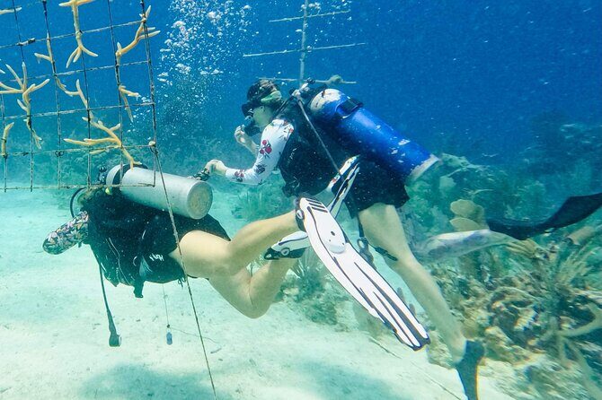 Private 2-Tank Dive with PADI Instructor for Certified Divers - FAQ: Your Questions About the Private 2-Tank Dive in Fajardo