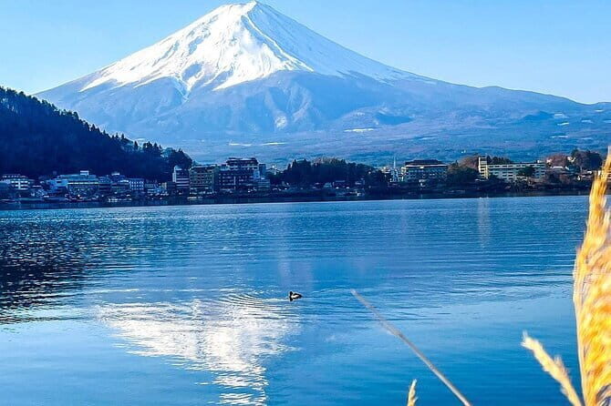 Private 21-days Japan Holiday from Tokyo - An In-Depth Review of Japan’s 21-Day Private Tour