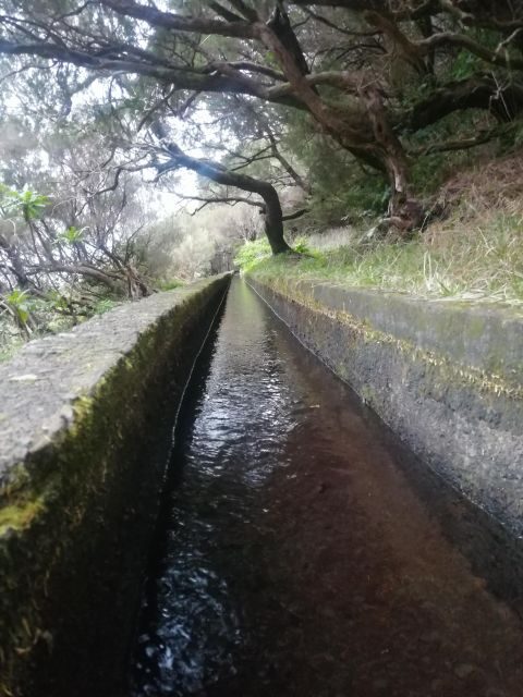 Private - 25 Fontes and Risco Waterfall Guided Tour - Exploring Madeira’s Natural Wonders: A Practical Guide