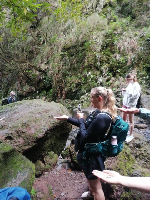 Private - 25 Fontes and Risco Waterfall Guided Tour - Who Should Book This Tour?