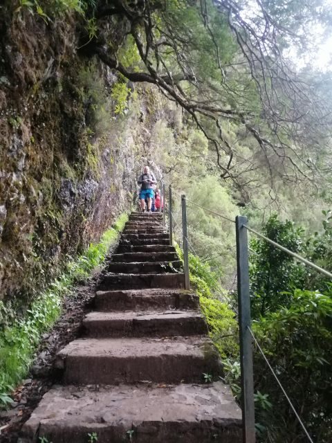 Private - 25 Fontes and Risco Waterfall Guided Tour - The Sum Up: Is This Tour Worth It?