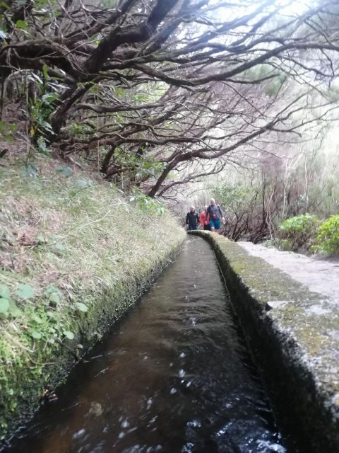 Private - 25 Fontes and Risco Waterfall Guided Tour - FAQ