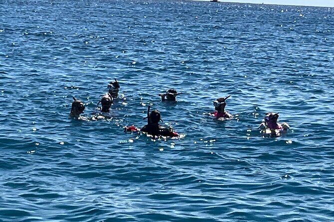 Private 3.5 hr Snorkel Charter in Waikiki - Key Points