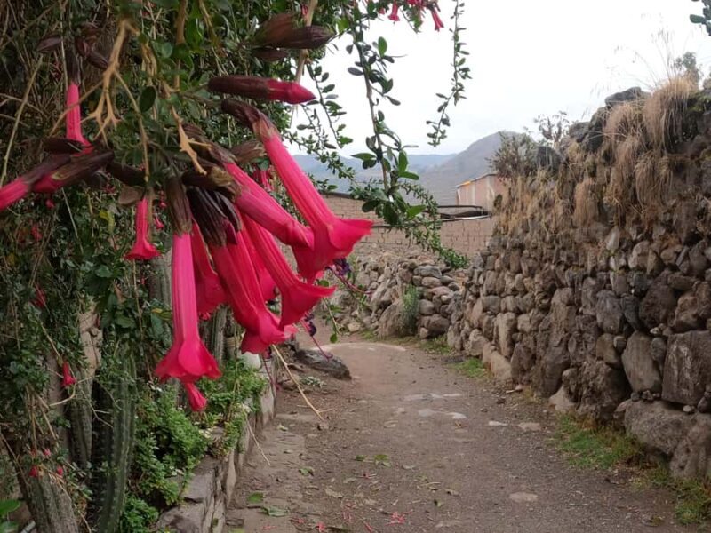 Private 3 day Colca Canyon trekking tour (min 2 people) - Exploring the Colca Canyon: A Deep Dive