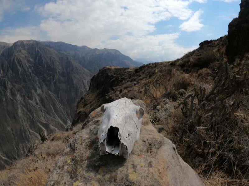 Private 3 day Colca Canyon trekking tour (min 2 people) - Who Is This Tour Best For?