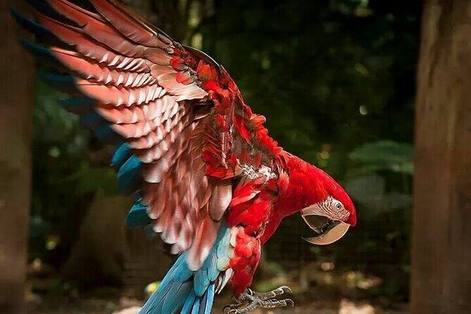 Private 3-Day Iguazu Falls Tour - An In-Depth Look at the 3-Day Iguazu Falls Tour