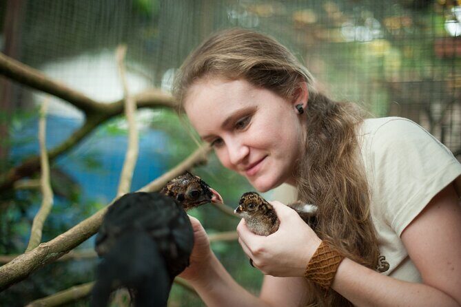 Private 3-Day Iguazu Falls Tour - Final Thoughts