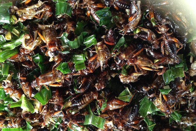 Private: 3 days 2 night trip: ChaingMai-Chaingrai- The Golden Triangle trip - Day 1: Doi Inthanon National Park and Hill Tribe Culture