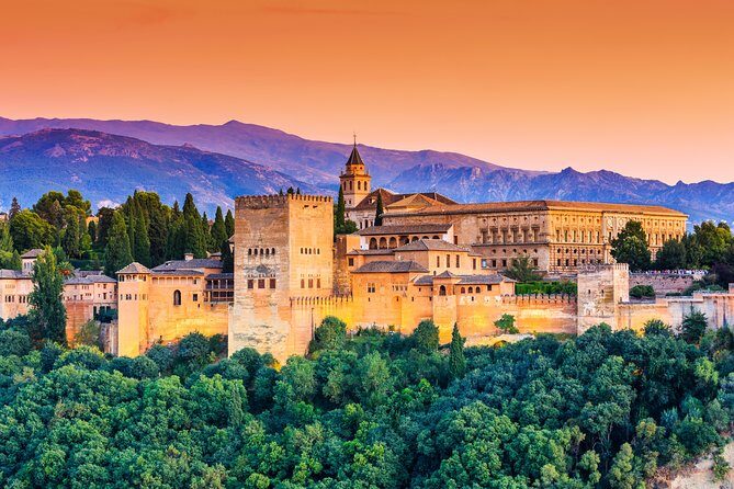 Private 3-hour Alhambra tour with tickets - Why Choose This Tour?