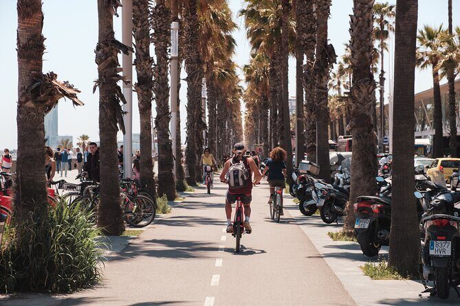 Private 3-Hour Barcelona Bike Tour: Highlights and Hidden Gems - Deep Dive into the Itinerary: What You’ll See and Experience