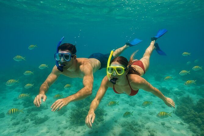 Private 3-Hour Guided Jet Ski Tour Madeira & Shell Key - What to Expect on Your Private Jet Ski Adventure