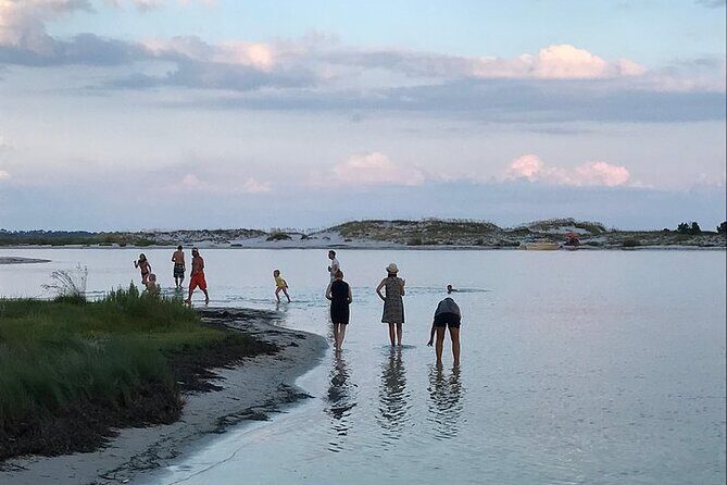 Private 3 Hour Powerboat Dolphin Cruise with Remote Beach Stop up to 6 guests - The Sum Up