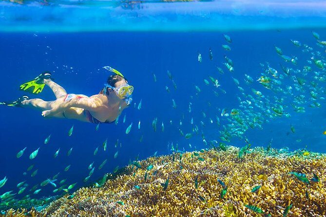 Private 3-Hour Snorkeling Tour with Arch Tour and Beach Time - Who Would Love This Tour?