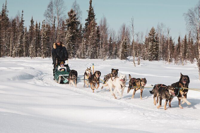 Private 30 Minute Mush Along Historic Yukon Quest Trail - Key Points