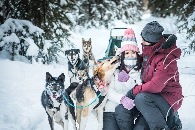 Private 30 Minute Mush Along Historic Yukon Quest Trail - Who Would Love This Experience?