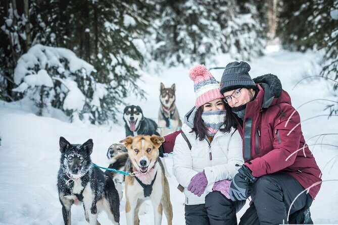 Private 30 Minute Mush Along Historic Yukon Quest Trail - FAQ