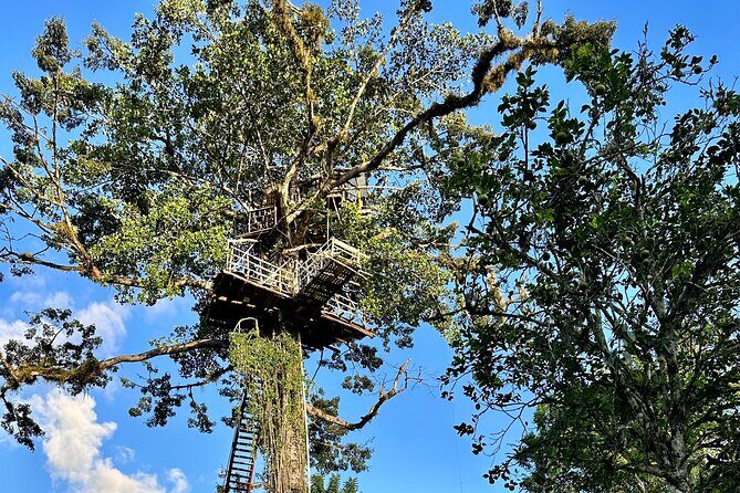 PRIVATE: 3in1 - Los Haitises N.P. + Y. Waterfall + Mount. Redonda - FAQ