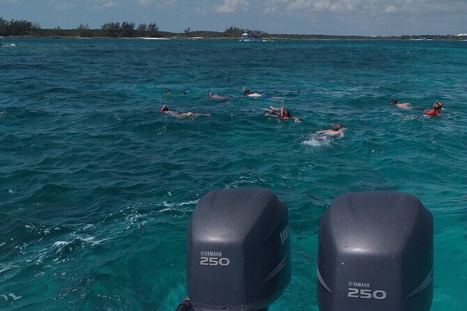 Private 4 hour Rose Island tour snorkeling fishing - What Makes This Tour Stand Out?