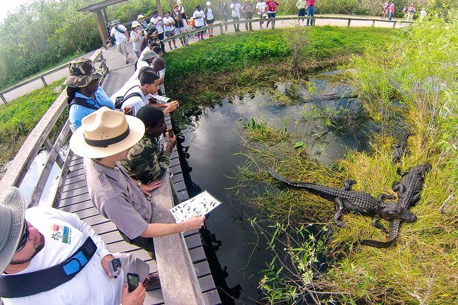 Private 4-hour Tour of Everglades from Miami Dade - Key Points