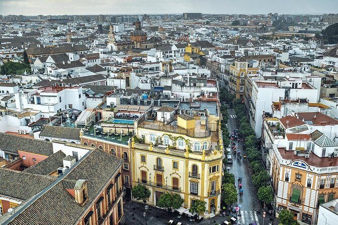 Private 4-hour Walking Tour of Sevilla with official tour guide - The Sum Up