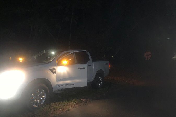 Private 4 Hours Night Jungle Hike Panama Tour - Final Thoughts: Who’s This Tour Best For?