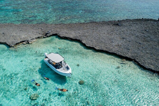 Private 4 Hours Reef Discovery Luxury Private Treasure Hunt in Bora Bora - Discover Bora Bora’s Lagoon with a Private Treasure Hunt