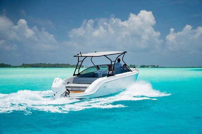 Private 4 Hours Reef Discovery Luxury Private Treasure Hunt in Bora Bora - Who Should Consider This Tour?