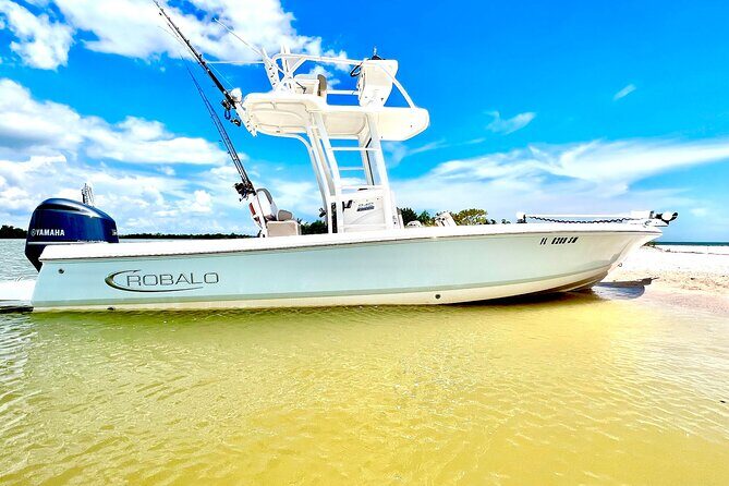 Private 4 HR Eco Tour, Shelling and Fishing, Marco Island FL - Who Would Love This Tour?