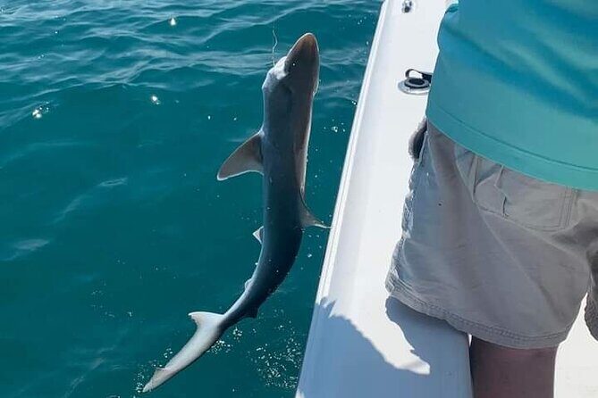 Private 4 hr Fishing Tour with Master Captain Bill Phillips - Key Points