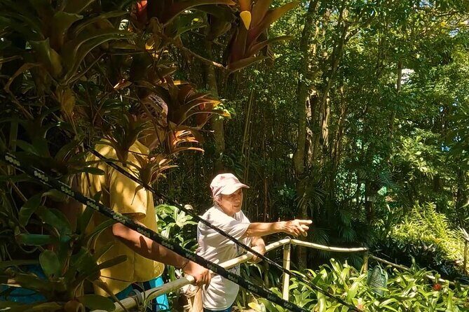 Private 4WD Tour to Trunk Bay St John - What Travelers Say and Why It Matters