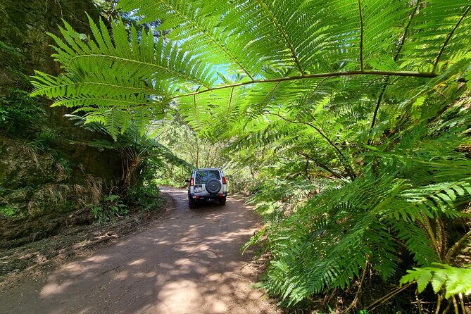 Private 4x4 Jeep Half Day - Picturesque Peaks, Vineyards, Skywalk - FAQs