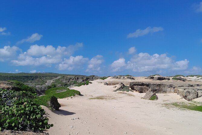 Private 4x4 Natural Pool, Caves & Baby Beach by Cross Aruba Tours - What Makes This Tour Stand Out?