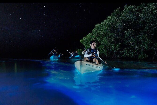 Private 5 day California Vineyards, Waves and Wine Tour - Day 5: Sonoma’s Charm and Culinary Delights