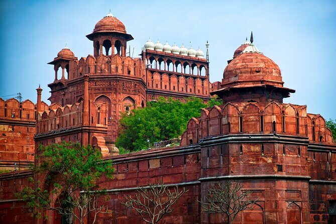 Private 5-Day Tour from Delhi: Ranthambhore Tigers, Agra & Jaipur - Authentic Experiences & Practical Tips