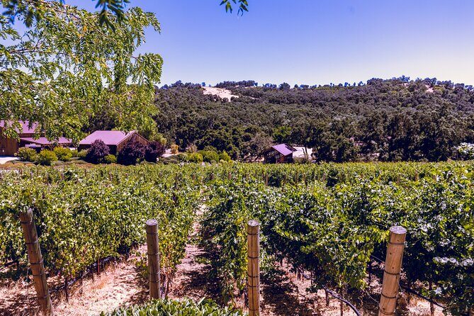 Private 5-Hour Transportation from Paso Robles or Atascadero - A Close Look at the Paso Robles Private SUV Tour