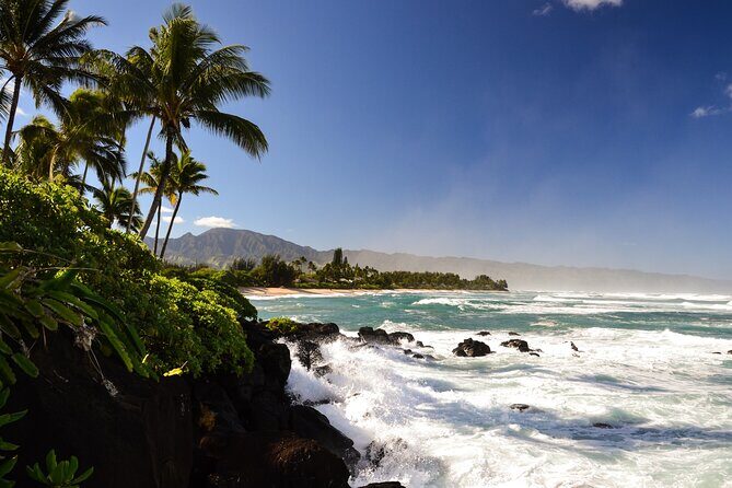 Private 5-hr Off-Road Trip on Oahus Wildlife-Rich North Shore - Experience the Untamed North Shore of Oahu in 5 Hours