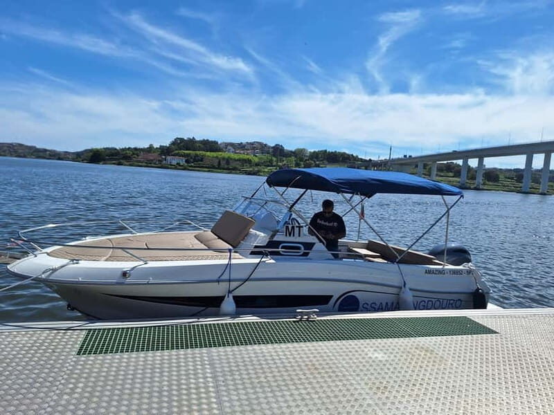 Private 6 Bridges Cruise in Porto with Optional Sunset - An In-Depth Look at the Porto 6 Bridges Private Boat Tour